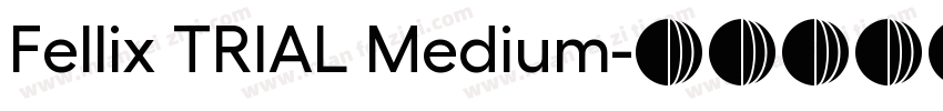 Fellix TRIAL Medium字体转换